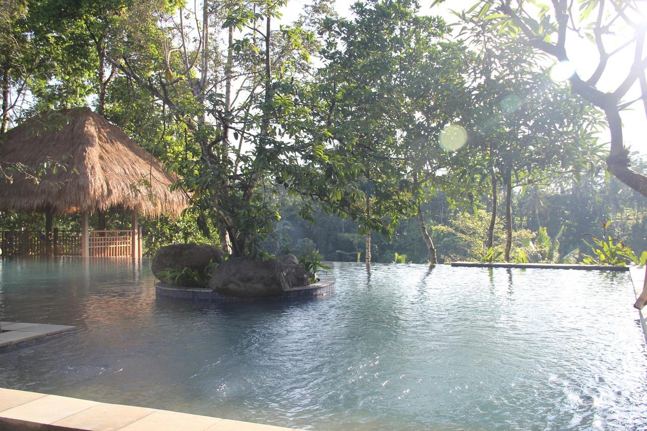 Tejaprana Resort & Spa Ουμπούντ Εξωτερικό φωτογραφία The resort's swimming pool