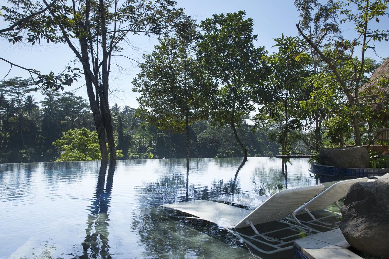 Tejaprana Resort & Spa Ουμπούντ Εξωτερικό φωτογραφία The flooded park