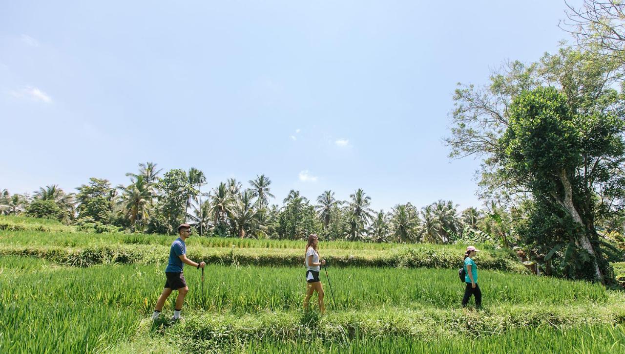 Tejaprana Resort & Spa Ουμπούντ Εξωτερικό φωτογραφία Trekking in Bali